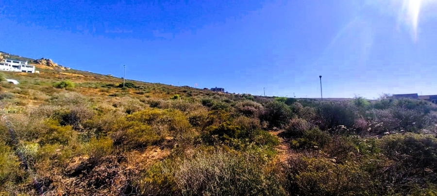 0 Bedroom Property for Sale in Steenbergs Cove Western Cape